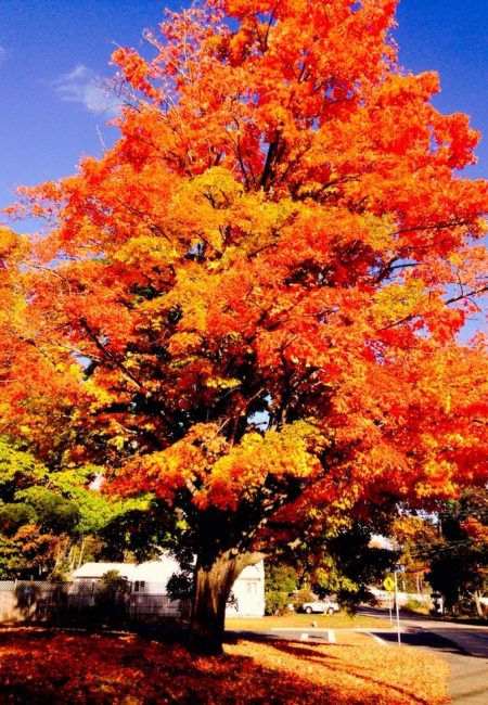 a78825b2-bc88-4582-af41-27e88c8cc62c